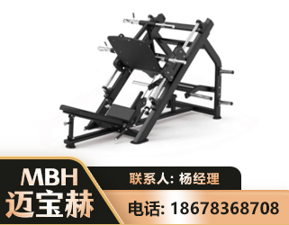 西宁45°倒蹬训练器